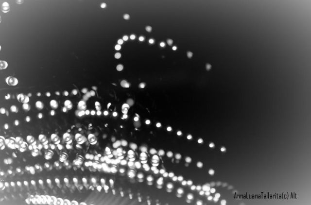 le_ore_tallarita_al_firmate