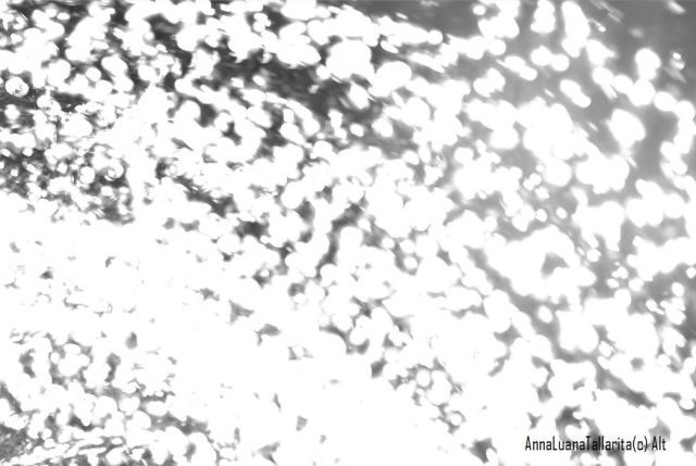 pioggia_tallarita_al_firmate